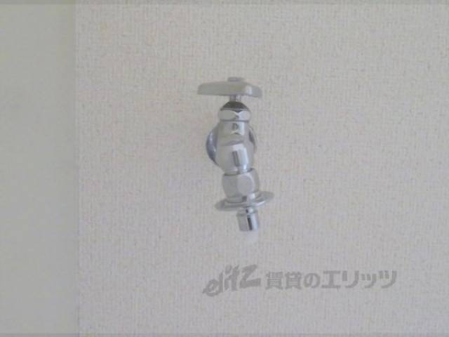 蛇口