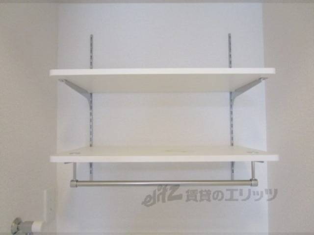 棚