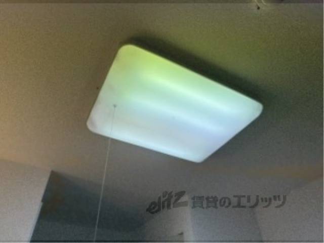 照明