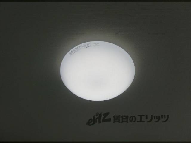 照明