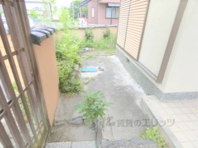 庭