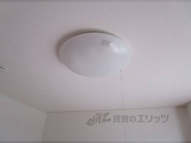 照明