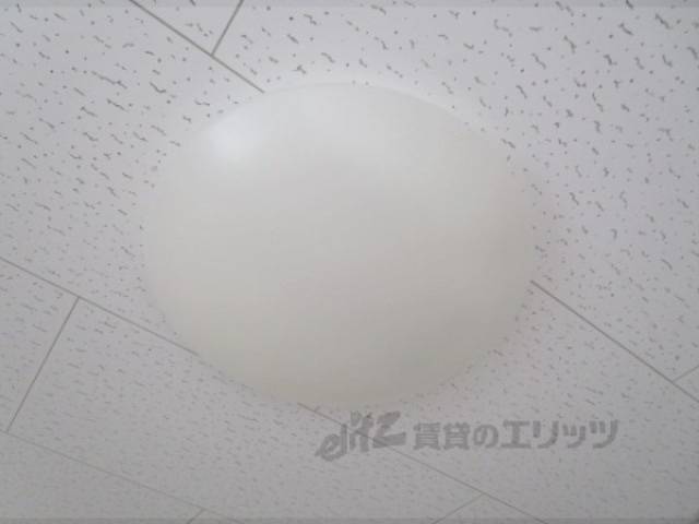 照明
