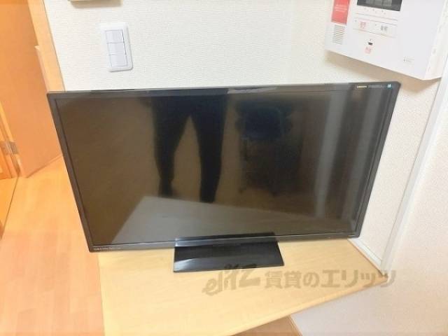 テレビ