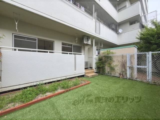庭