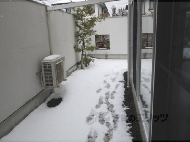 庭