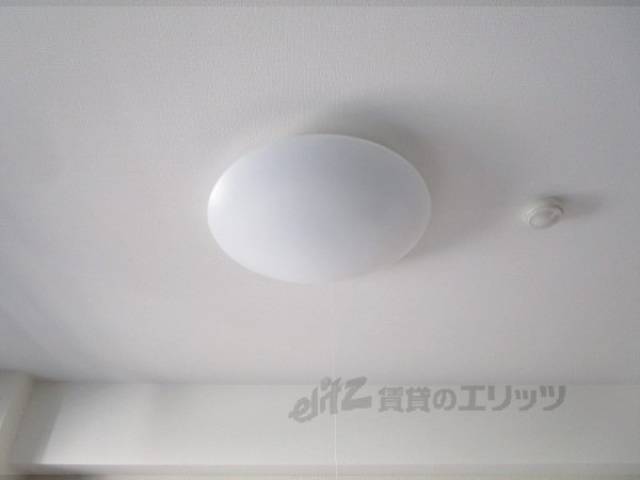 照明