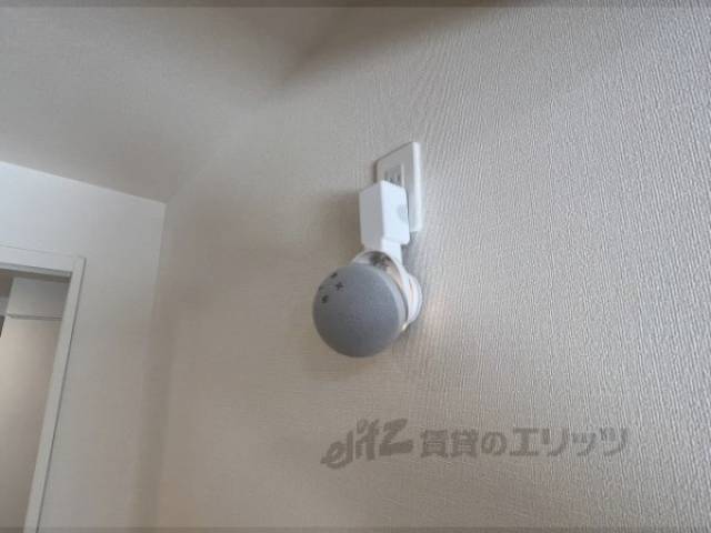 アレクサ