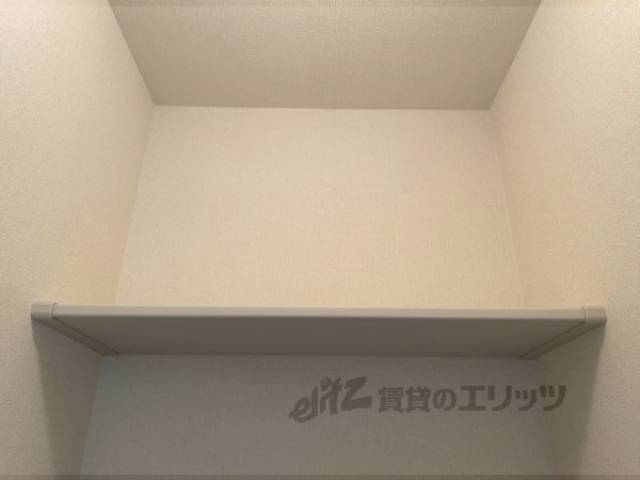棚