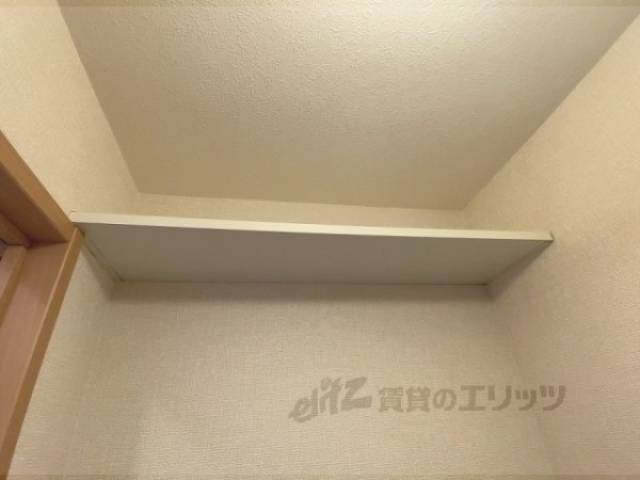 棚