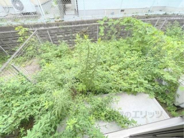 庭