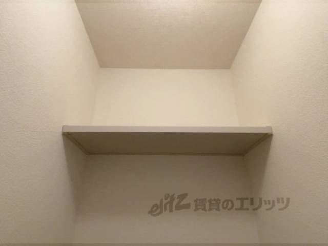 棚