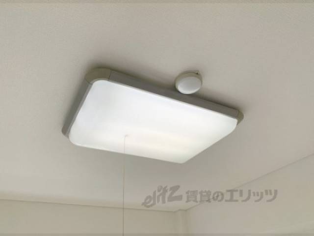 照明