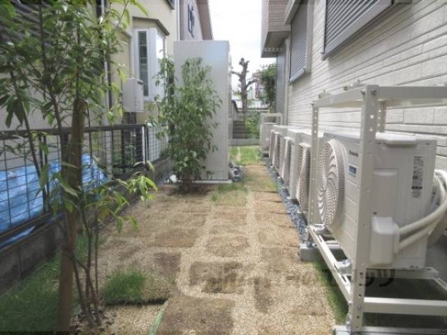 庭