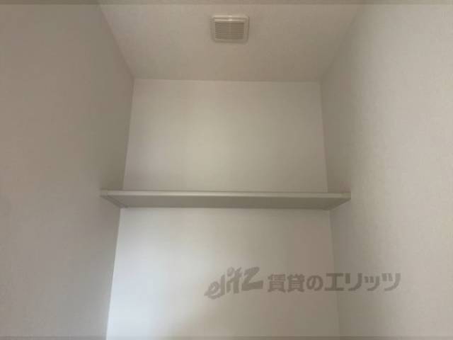 棚