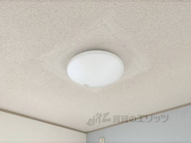 照明
