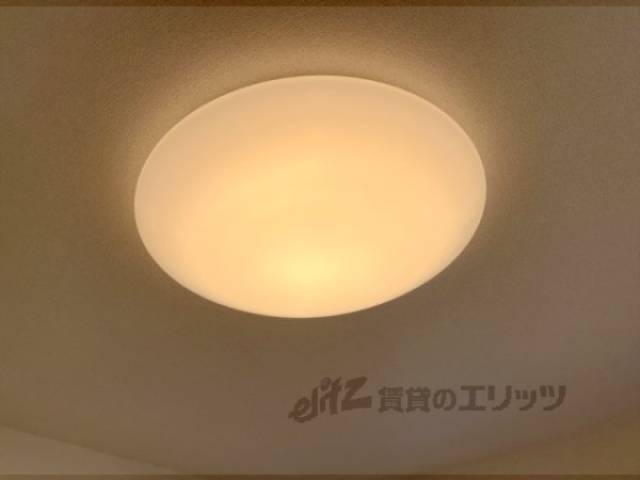 照明