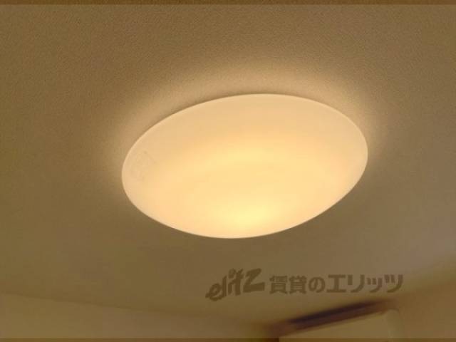 照明