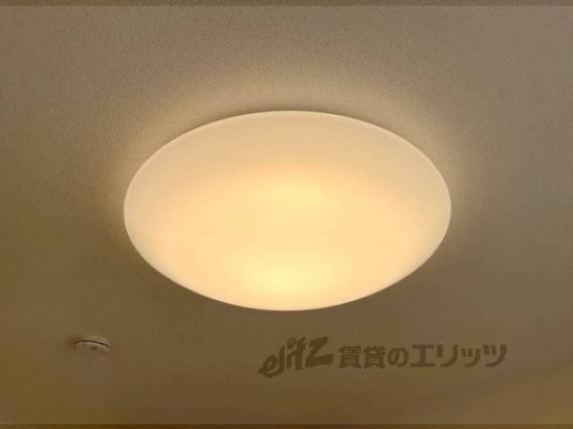照明