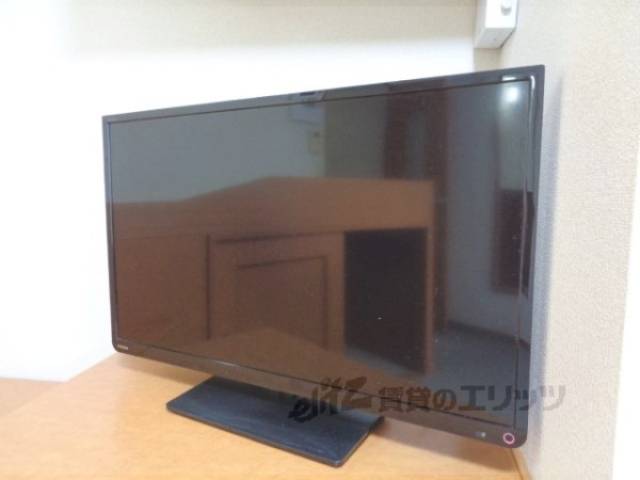 テレビ