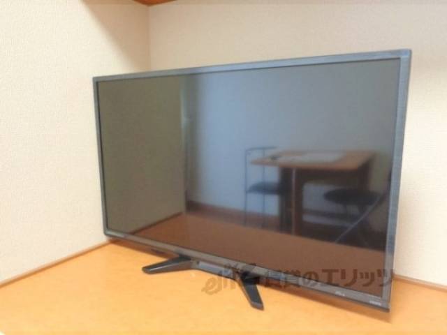 テレビ