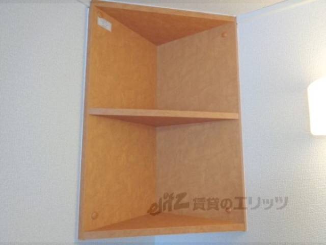 棚