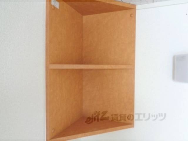 棚