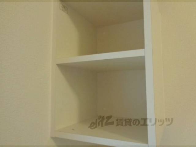 棚