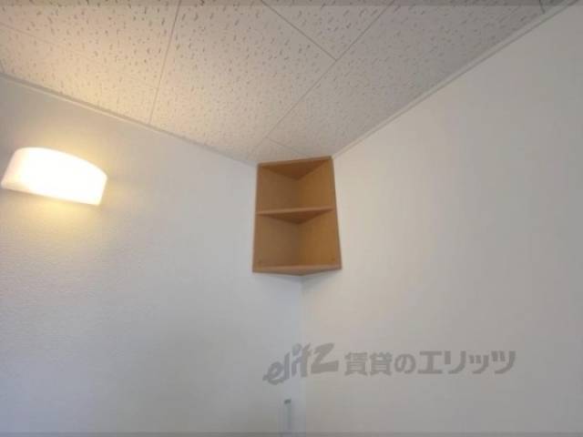 棚