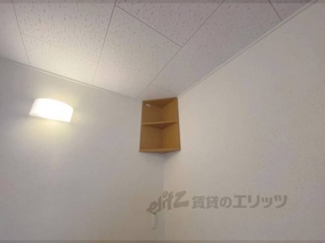 棚