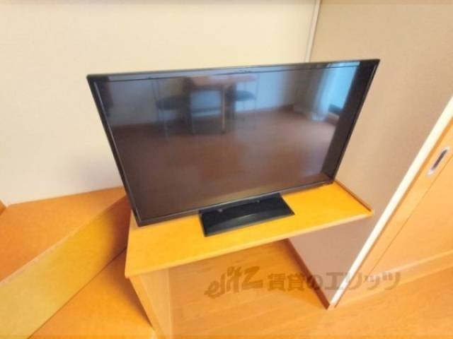 テレビ