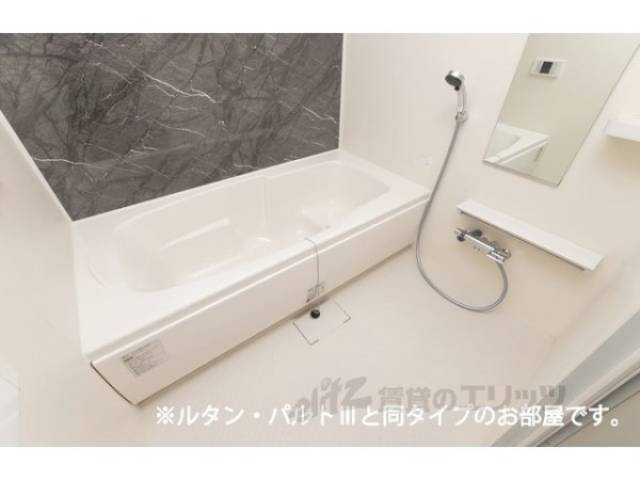 イメージ写真