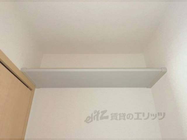 ラック
