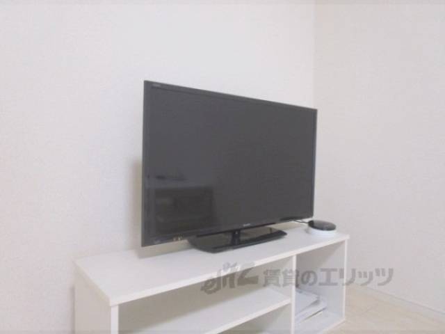 テレビ