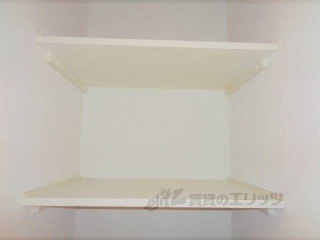 電子レンジ上収納