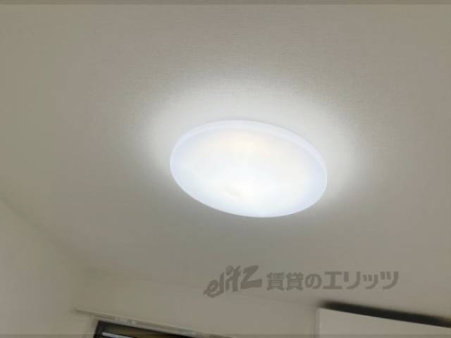 照明