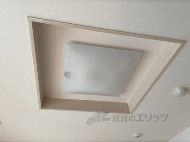 照明
