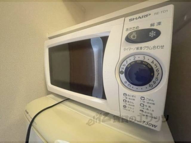 冷蔵庫置場　電子レンジ