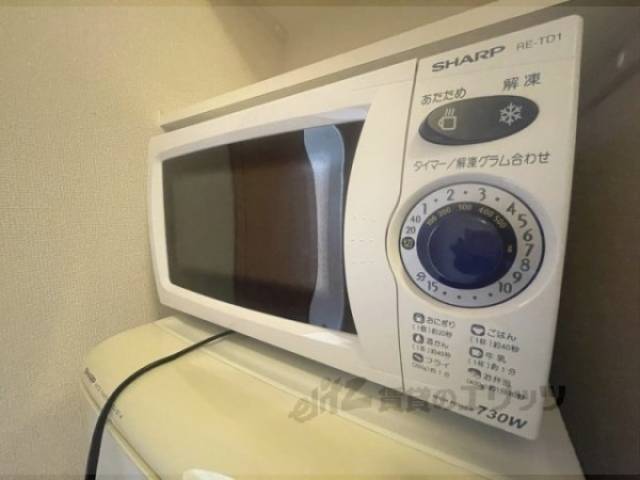 冷蔵庫置場　電子レンジ
