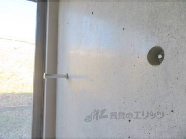 棒