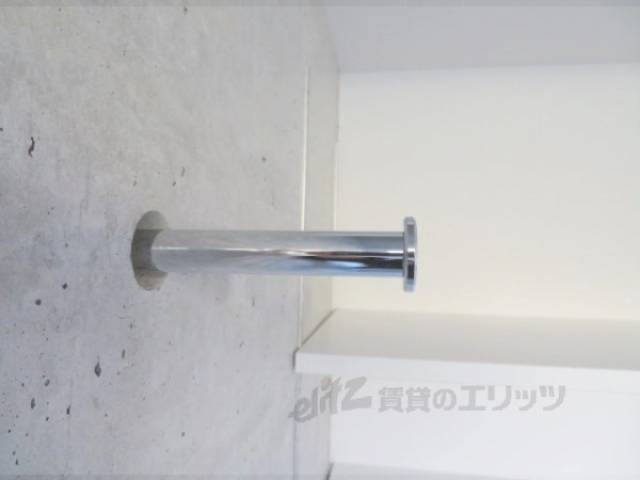 棒