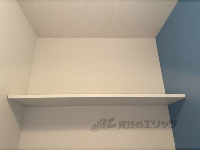 棚