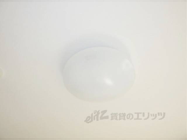 照明