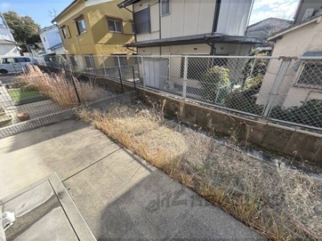 庭