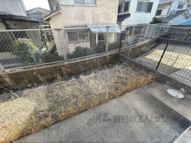 庭