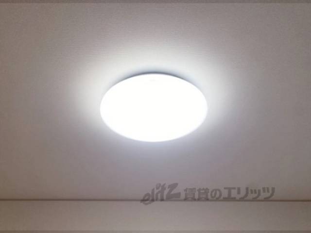 照明