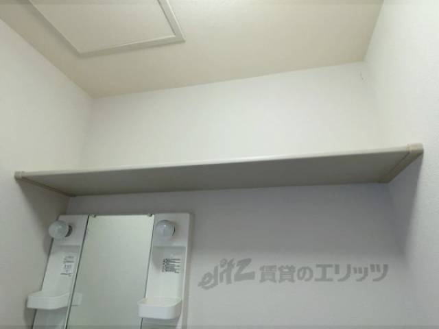 棚