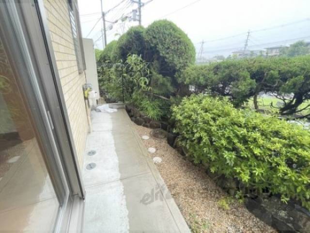庭
