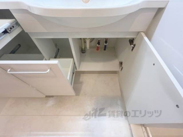 洗面所　洗面所下収納