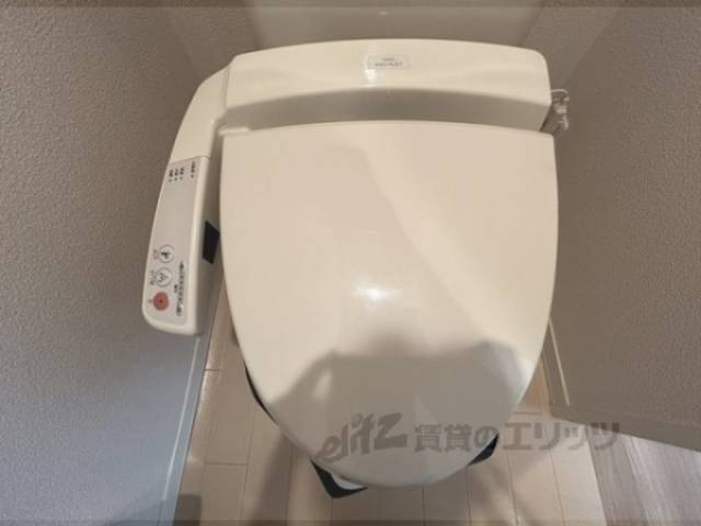 トイレ　ウォーク